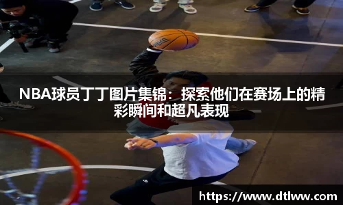 zoty中欧
